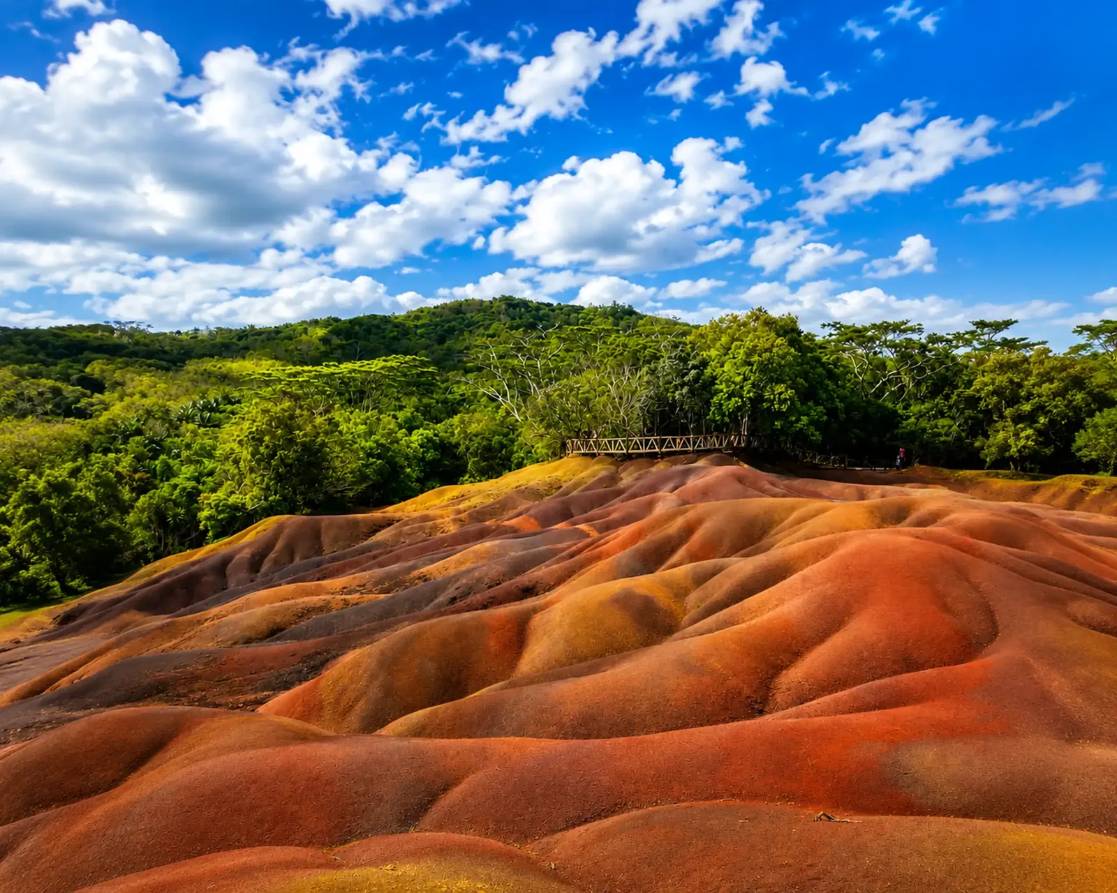 Warm-toned earth dunes at Chamarel Seven Coloured Earth, surrounded by green forest in Mauritius.