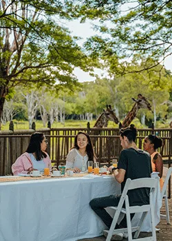 Guests seated at a dining table near giraffes at Casela Nature Parks in Mauritius.