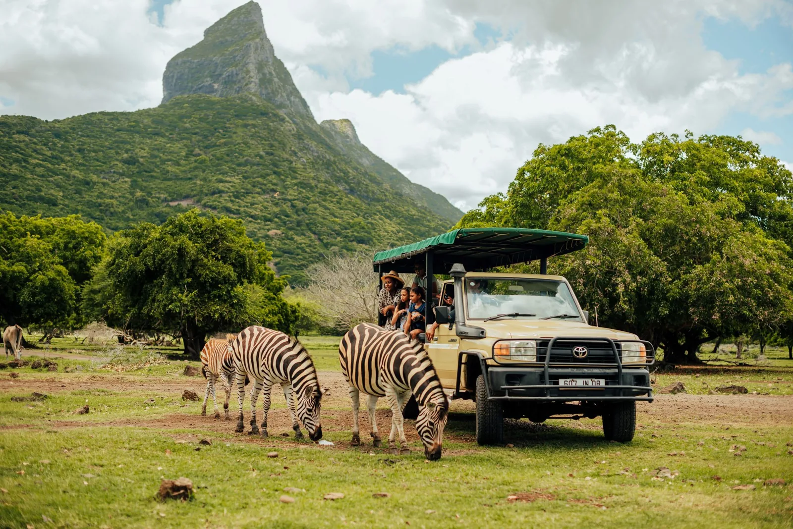 A safari 4x4 vehicle beside zebras with mountain scenery at Casela Nature Parks in Mauritius.